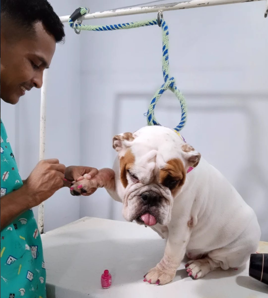 Mascota durante su baño en Oh La La