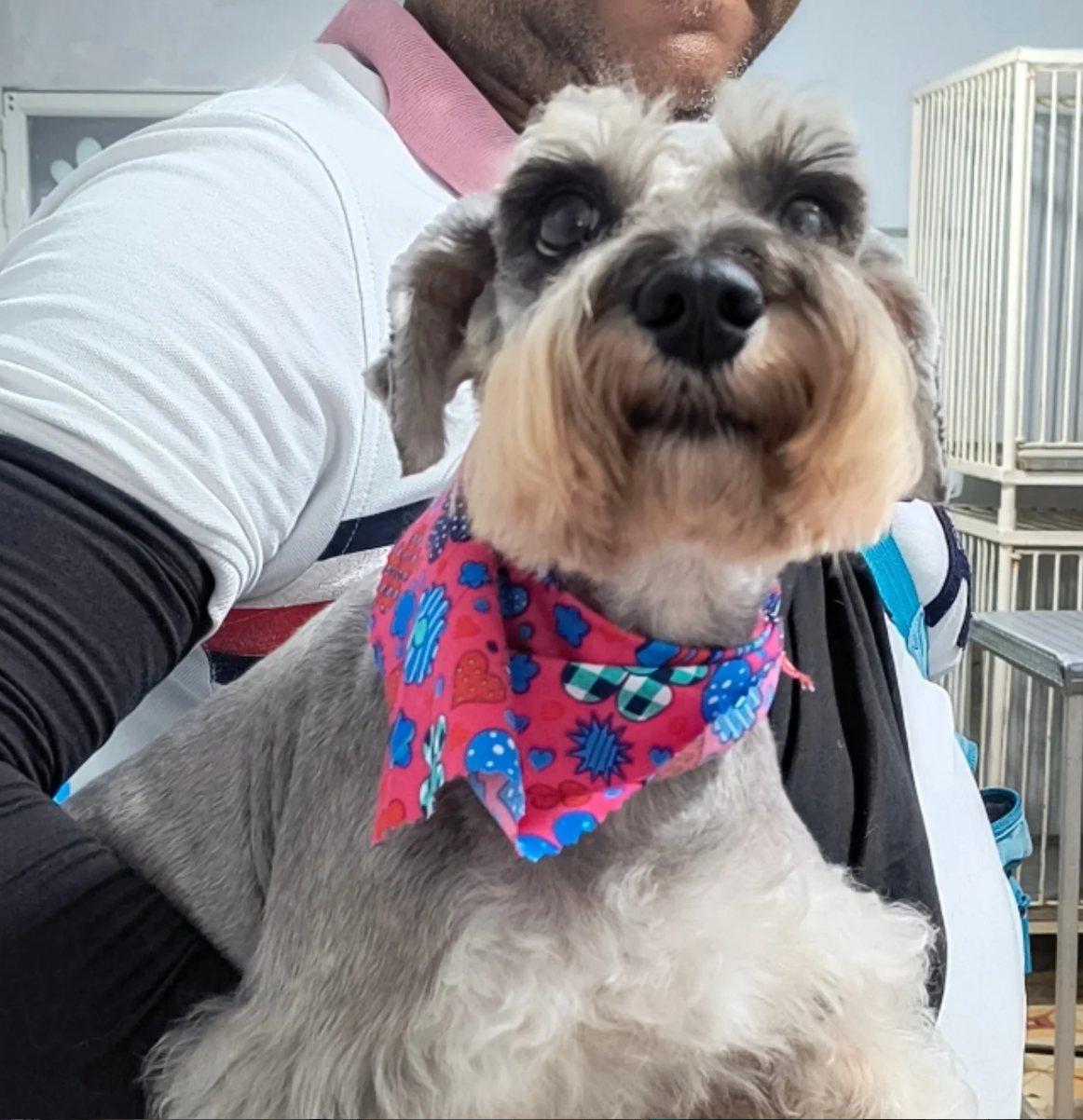 Mascota cliente de Oh La La con pañuelo de colores